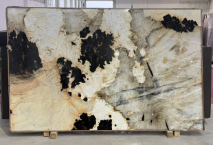 TEXTA PATAGONIA - 000356