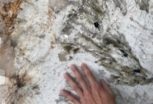 GRANITO ALPINUS PATAGONIA - 002865