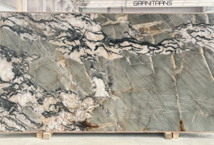 QUARTZITE BOTANIC CRYSTAL - 005706